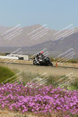 media/Feb-04-2023-SoCal Trackdays (Sat) [[8a776bf2c3]]/Turn 15 Inside Blooming (1050am)/